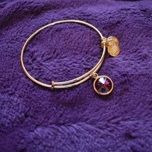 Alex and Ani Purple Stone Bracelet
